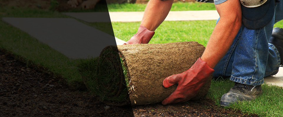 Reed City Landscapers